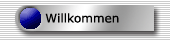Home-Button